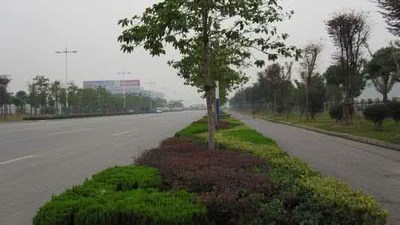 绿化工程 (4)