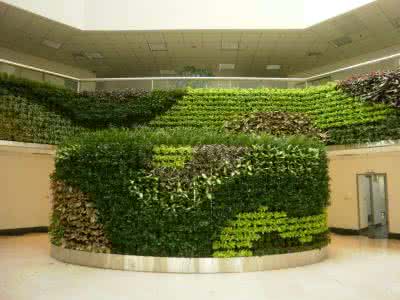 立体植物墙 (3)
