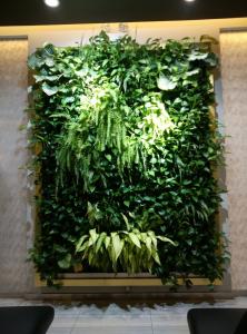 立体植物墙 (6)