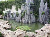 假山水池 (3)
