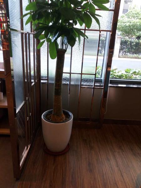 合作案例 (8)