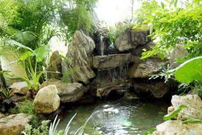 假山水池 (5)